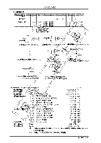 浏览型号LM6402G的Datasheet PDF文件第4页