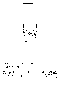 ͺ[name]Datasheet PDFļ8ҳ