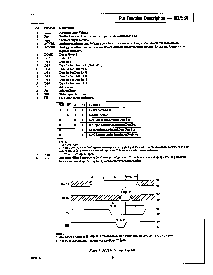 浏览型号AD7534的Datasheet PDF文件第5页