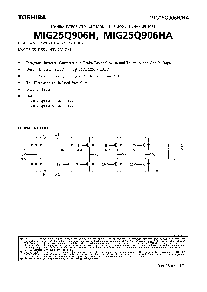浏览型号MIG25Q906H的Datasheet PDF文件第1页