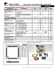 浏览型号C8051F060的Datasheet PDF文件第2页
