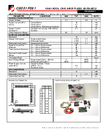 浏览型号C8051F061的Datasheet PDF文件第2页
