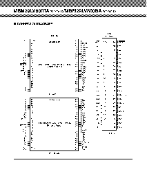 浏览型号MBM29LV800BA-12PBT的Datasheet PDF文件第6页