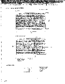 浏览型号UPC1028H的Datasheet PDF文件第5页