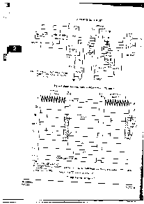 浏览型号MC145447P的Datasheet PDF文件第5页