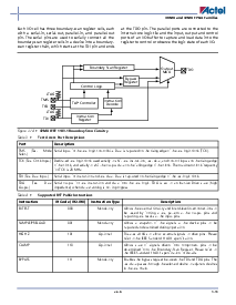 浏览型号A40MX02的Datasheet PDF文件第17页