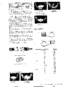 浏览型号34118的Datasheet PDF文件第1页