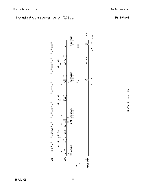 浏览型号PCF8574TD的Datasheet PDF文件第8页