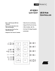 浏览型号AT43301的Datasheet PDF文件第1页