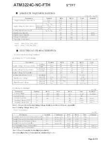 浏览型号ATM3224C-NC-FTH的Datasheet PDF文件第4页