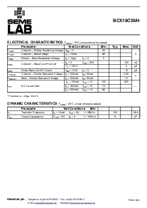 浏览型号BCX19CSM4的Datasheet PDF文件第2页