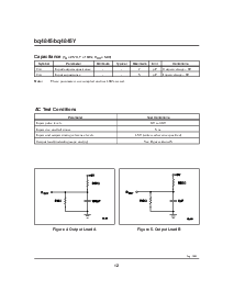 浏览型号BQ4845YS-A4的Datasheet PDF文件第12页