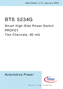 浏览型号BTS5234G的Datasheet PDF文件第1页