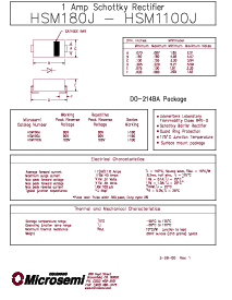 浏览型号10BQ100的Datasheet PDF文件第1页