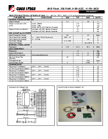 浏览型号C8051F302的Datasheet PDF文件第2页