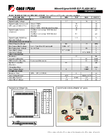 浏览型号C8051F020的Datasheet PDF文件第2页