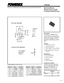 浏览型号CR08的Datasheet PDF文件第1页