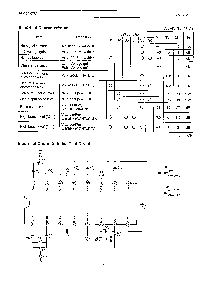 ����ͺ�[name]��Datasheet PDF�ļ���5ҳ