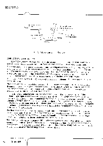 ͺ[name]Datasheet PDFļ8ҳ