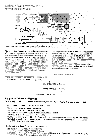 浏览型号DBS800的Datasheet PDF文件第6页