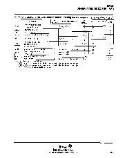 浏览型号NE592N的Datasheet PDF文件第5页