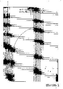 ͺ[name]Datasheet PDFļ8ҳ