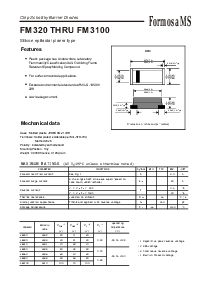 浏览型号FM3100的Datasheet PDF文件第1页