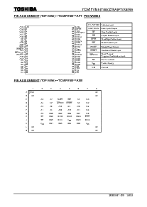 浏览型号TC58FVM5T3AFT65的Datasheet PDF文件第3页