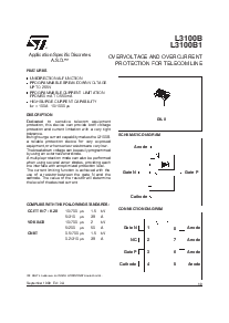 浏览型号L3100B的Datasheet PDF文件第1页