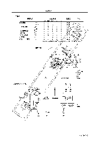 浏览型号LA7224的Datasheet PDF文件第2页