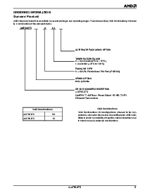 浏览型号AM79C875KC的Datasheet PDF文件第5页