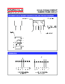 浏览型号MAN3Y10的Datasheet PDF文件第3页