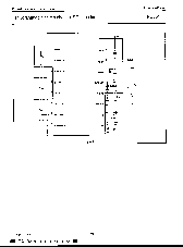 浏览型号NE5044D的Datasheet PDF文件第7页