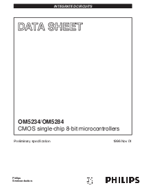 浏览型号OM5234的Datasheet PDF文件第1页