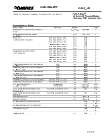 浏览型号PA431806的Datasheet PDF文件第2页