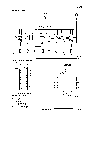 浏览型号PALCE16V8Q-20SI5的Datasheet PDF文件第2页