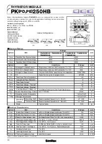 浏览型号PE250HB160的Datasheet PDF文件第1页