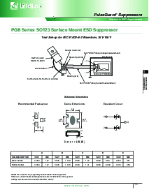 浏览型号PGB002ST23WR的Datasheet PDF文件第3页