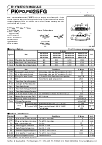 浏览型号PK25FG160的Datasheet PDF文件第1页