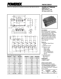 浏览型号PM200CBS060的Datasheet PDF文件第1页