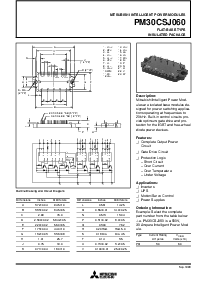 浏览型号PM300DSA120的Datasheet PDF文件第1页