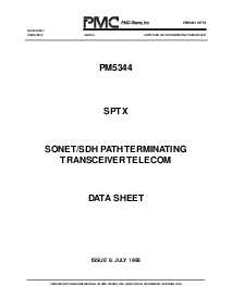 浏览型号PM5344-RI的Datasheet PDF文件第1页