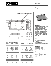 浏览型号PS11036的Datasheet PDF文件第1页