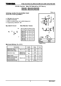 浏览型号RN2405的Datasheet PDF文件第1页