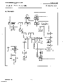 浏览型号SCN8031HCCN40的Datasheet PDF文件第3页