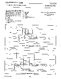 浏览型号SCN8031HCCN40的Datasheet PDF文件第7页