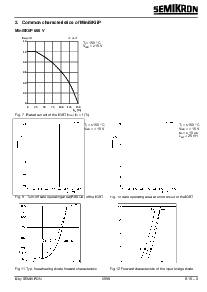 浏览型号SKIIP30NAB06的Datasheet PDF文件第3页