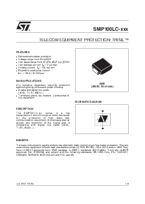 浏览型号SMP100LC-65的Datasheet PDF文件第1页