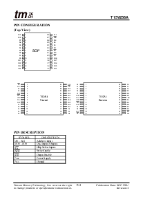 浏览型号T15V256A-85P的Datasheet PDF文件第2页