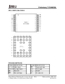 浏览型号T15V4M08A-70P的Datasheet PDF文件第2页